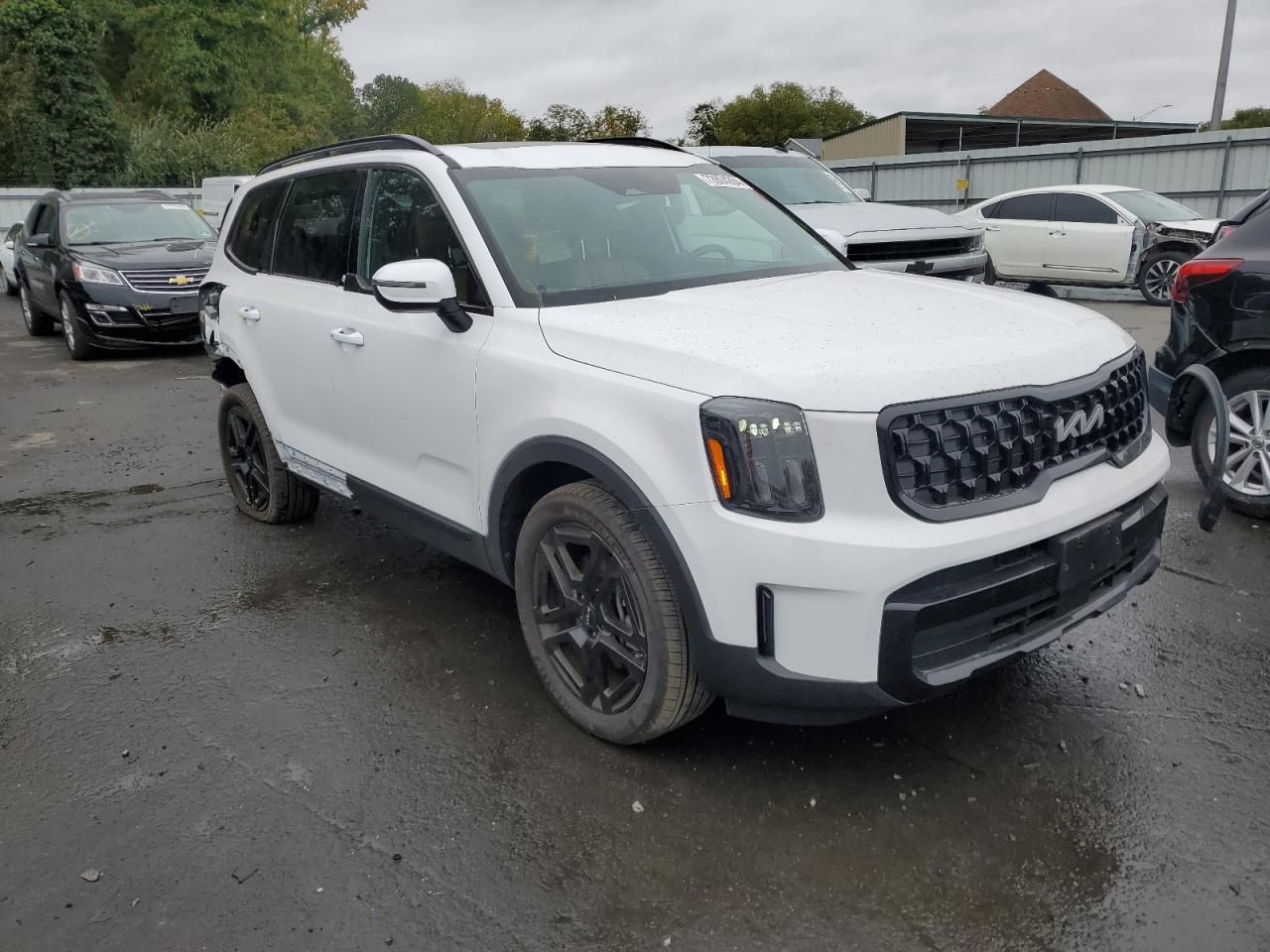 2024 KIA TELLURIDE EX VIN:5XYP3DGC8RG500198