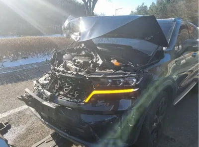 2022 Kia Sorento KNARJ81FGNA154523 VIN:KNARJ81FGNA154523