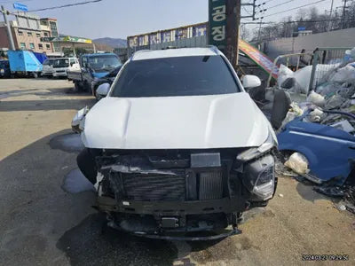 2019 Hyundai Santa FE KMHS381CBKU011363 VIN:KMHS381CBKU011363