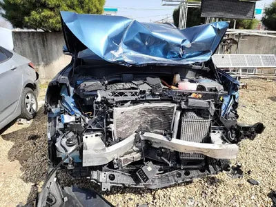 2021 Kia Sorento KNARH81GBMA047432 VIN:KNARH81GBMA047432
