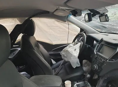 2018 Hyundai Santa FE KMHSW81UBJU793209 VIN:KMHSW81UBJU793209