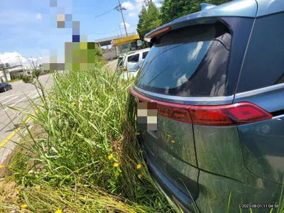 2021 Kia Carnival KNANC813BMS075724 VIN:KNANC813BMS075724