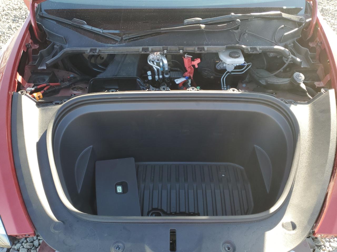 2023 TESLA MODEL Y  VIN:7SAYGDEE7PA044888