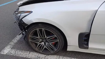 2021 Kia Stinger KNAE351DBMS101749 VIN:KNAE351DBMS101749