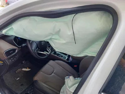 2020 Hyundai Santa FE KMHS381BBLU272943 VIN:KMHS381BBLU272943