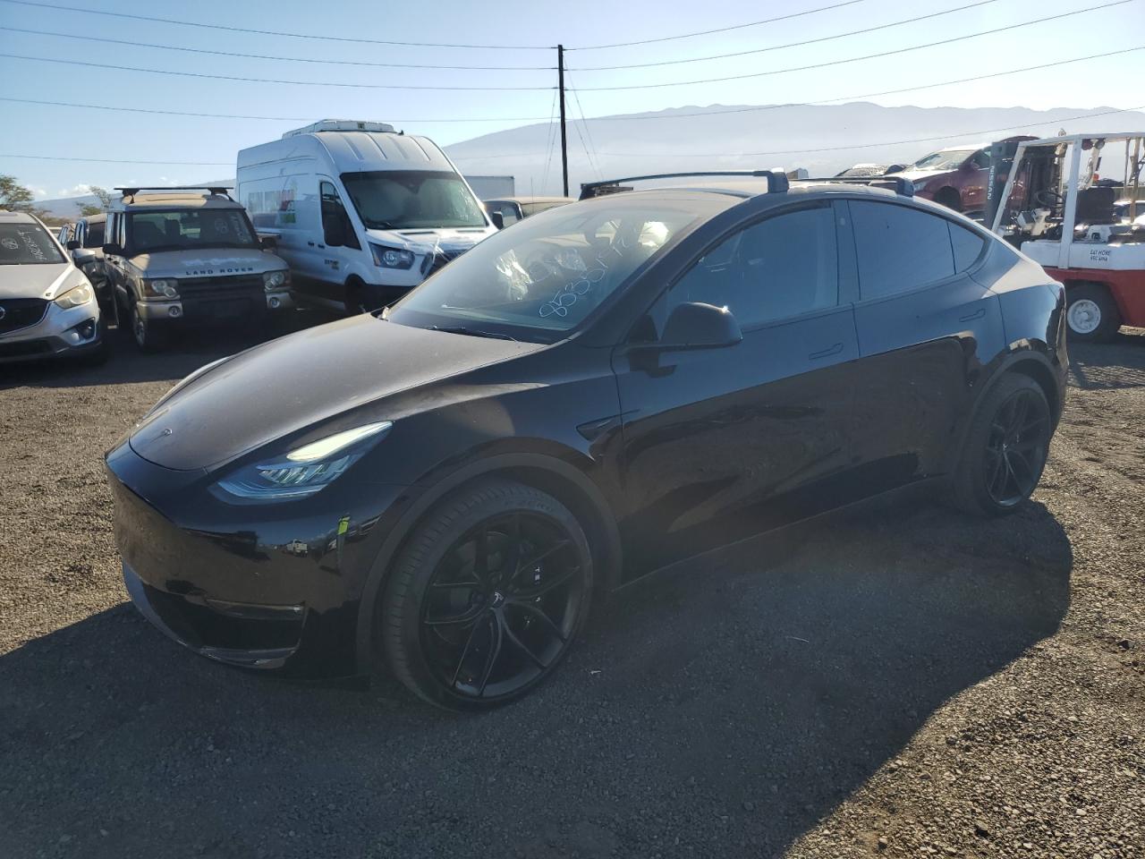 2022 TESLA MODEL Y  VIN:7SAYGDEE2NF391349
