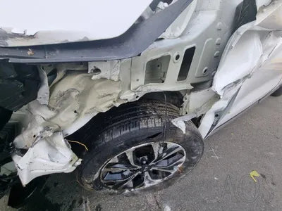 2020 Kia Carnival KNANC81BBMS015175 VIN:KNANC81BBMS015175