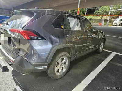 2019 Toyota RAV4 VIN: