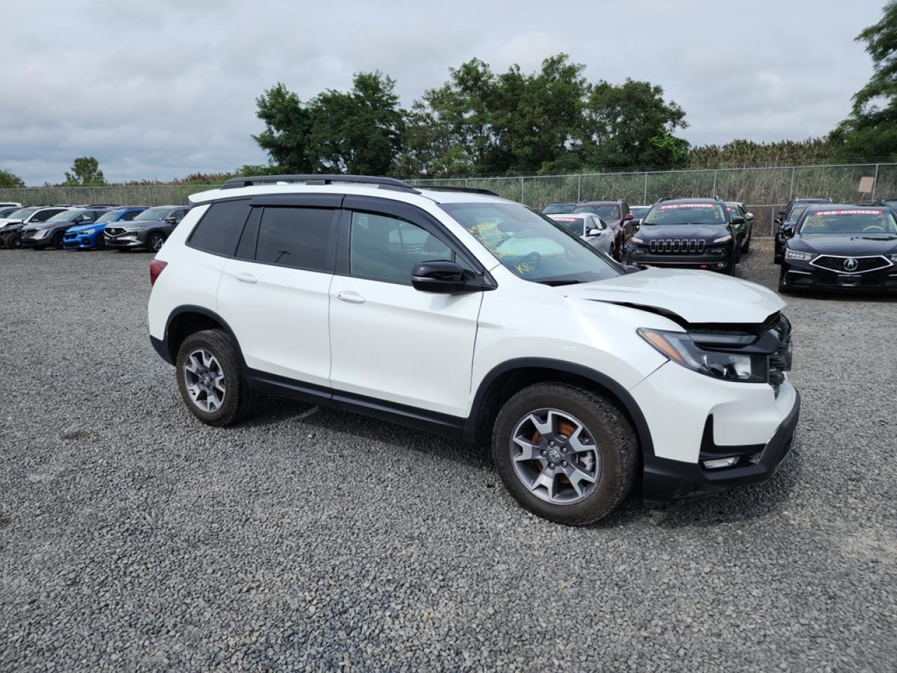 2022 HONDA PASSPORT TRAIL SPORT VIN:5FNYF8H61NB006617
