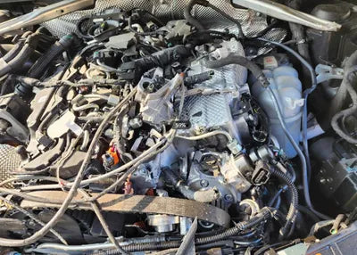 2021 Audi A4 WAUZZZF42MN001071 VIN:WAUZZZF42MN001071
