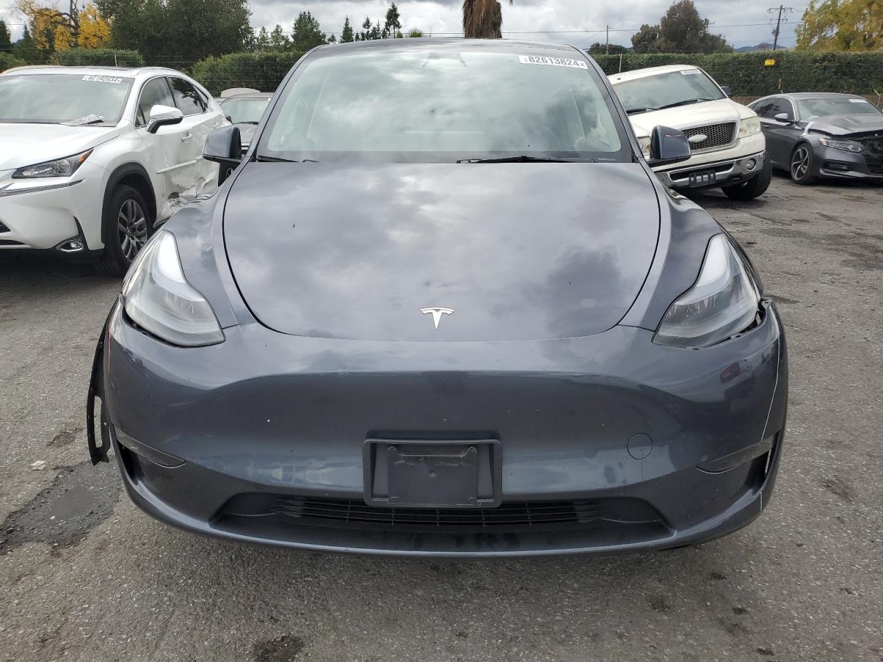 2023 TESLA MODEL Y  VIN:7SAYGDEE0PF695329