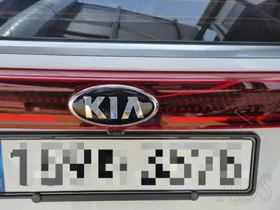 2020 Kia Carnival KNANC81BBMS015175 VIN:KNANC81BBMS015175