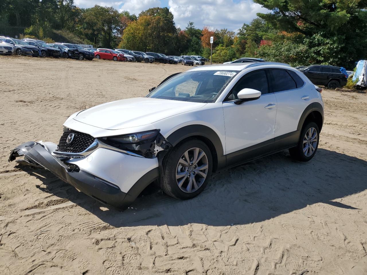 2023 MAZDA CX-30 PREMIUM VIN:3MVDMBDM6PM545673