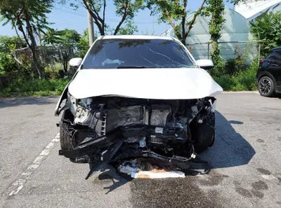 2019 Kia Carnival KNAME81ABKS499170 VIN:KNAME81ABKS499170