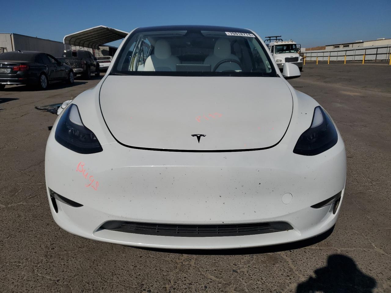 2023 TESLA MODEL Y  VIN:7SAYGDEE3PF840024