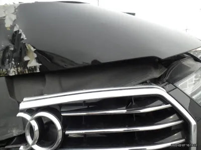 2017 Audi 50 WAUZZZ4GXHN022219 VIN:WAUZZZ4GXHN022219