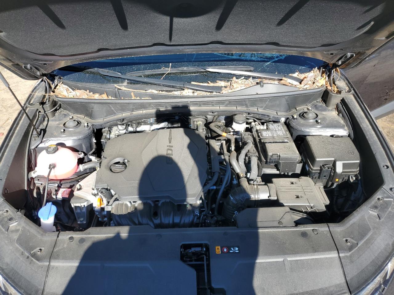 2023 HYUNDAI TUCSON SEL VIN:5NMJBCAE6PH266532