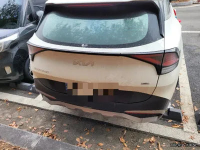 2022 Kia Sportage KNAPW81GBNK029785 VIN:KNAPW81GBNK029785