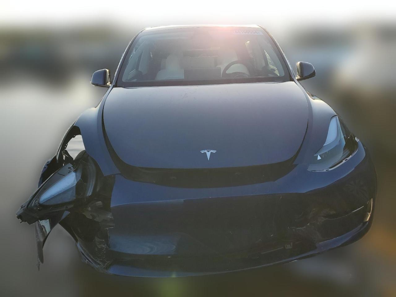 2024 TESLA MODEL Y  VIN:7SAYGDEE2RF983730