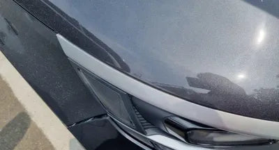 2021 Kia Carnival KNANB81BBMS113372 VIN:KNANB81BBMS113372