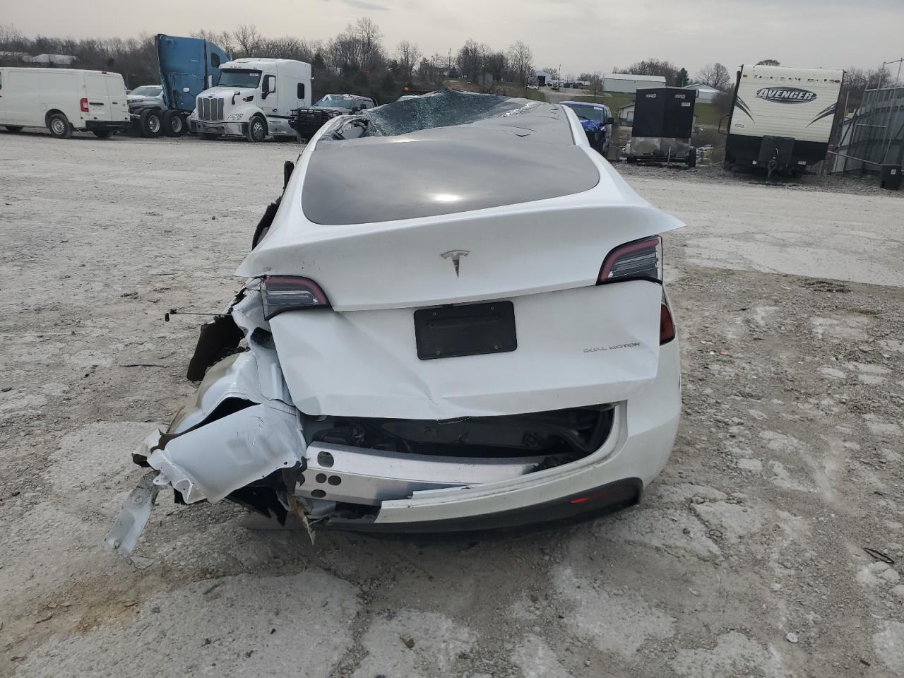 2023 TESLA MODEL Y  VIN:7SAYGDEE2PA145160