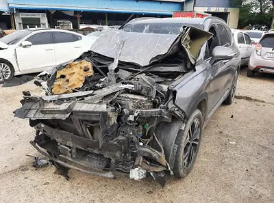 2019 Hyundai Santa FE KMHS381CBKU017002 VIN:KMHS381CBKU017002