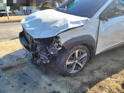 2019 Hyundai Kona KMHK4815GKU400826 VIN:KMHK4815GKU400826