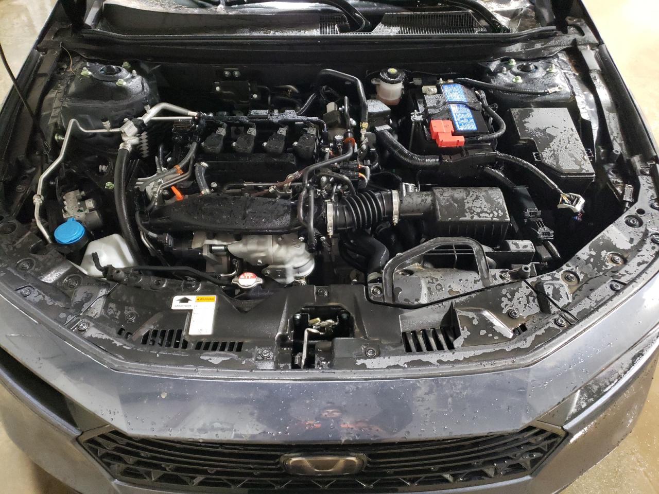 2024 HONDA ACCORD LX VIN:1HGCY1F21RA074895