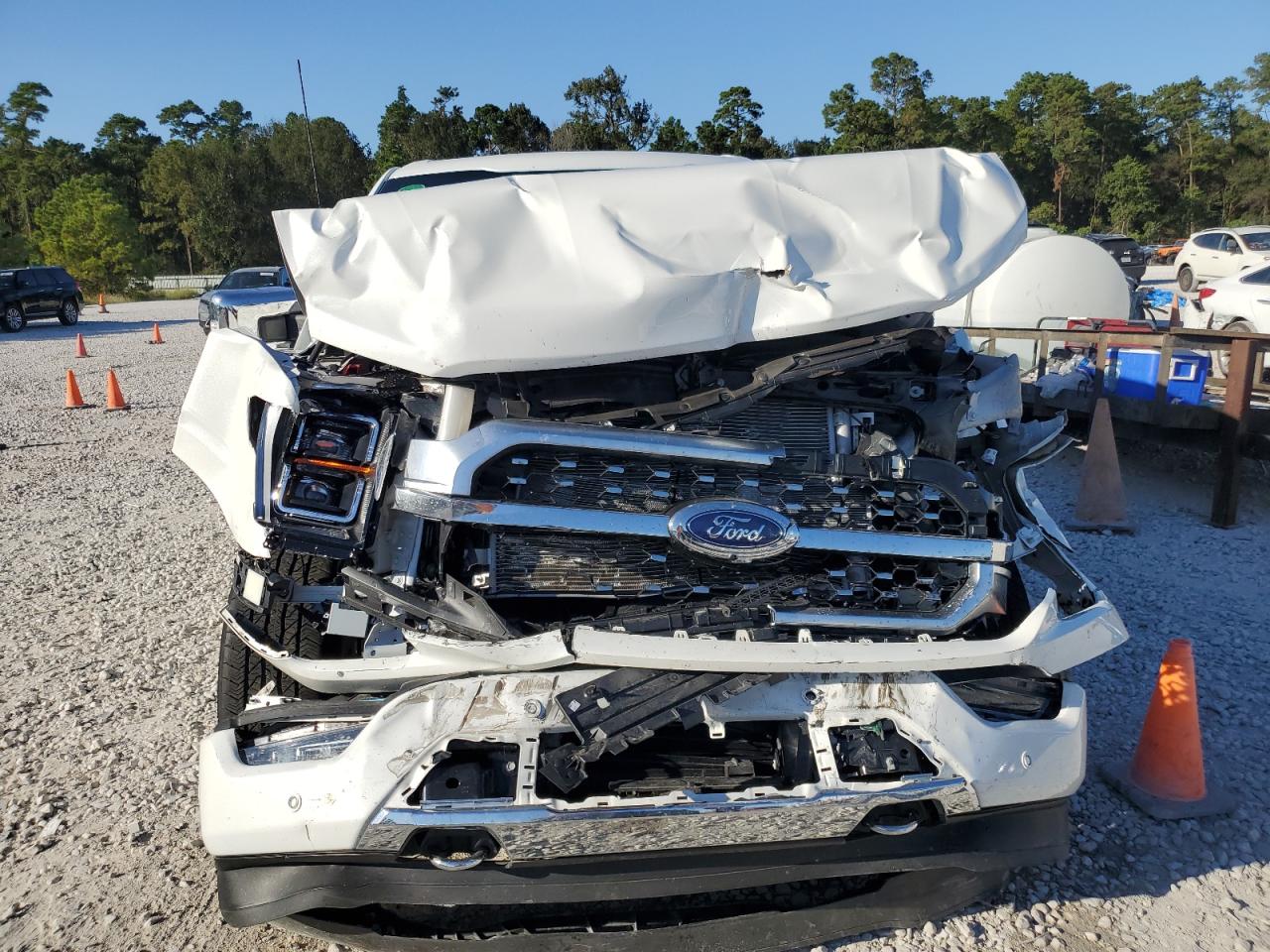 2023 FORD F150 SUPERCREW VIN:1FTFW1ED9PFB64686