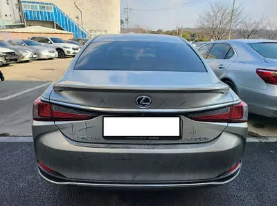 2019 Lexus ES 300 JTHB21B12K2049785 VIN:JTHB21B12K2049785
