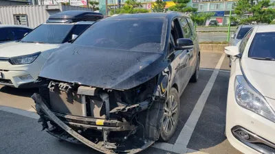 2020 Kia Carnival KNAMB81ABLS658300 VIN:KNAMB81ABLS658300