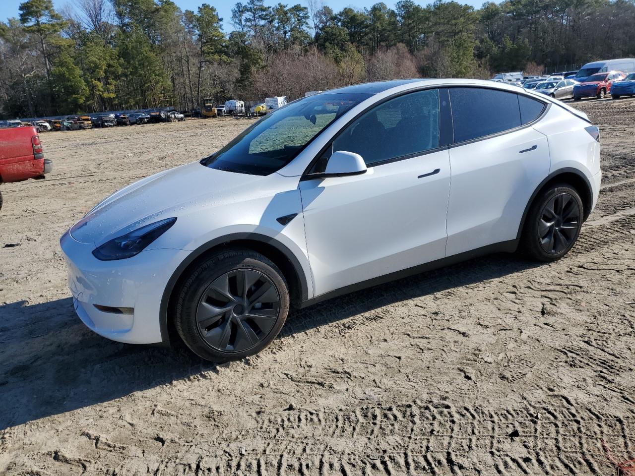 2024 TESLA MODEL Y  VIN:7SAYGDED1RF169639