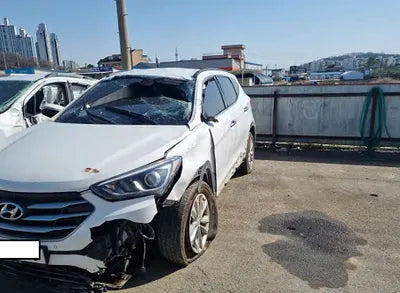 2018 Hyundai Santa FE KMHSW81UBJU791337 VIN:KMHSW81UBJU791337