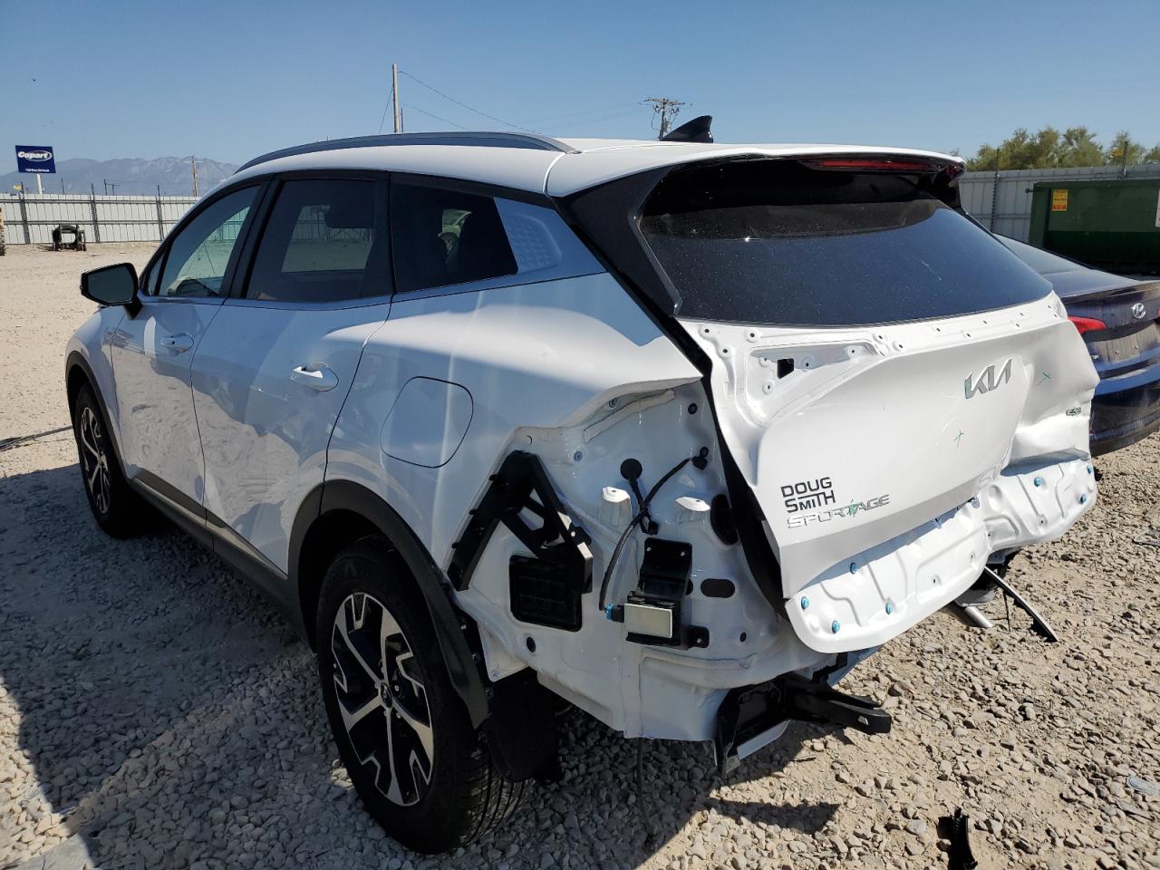 2024 KIA SPORTAGE EX VIN:5XYK3CDF0RG203137