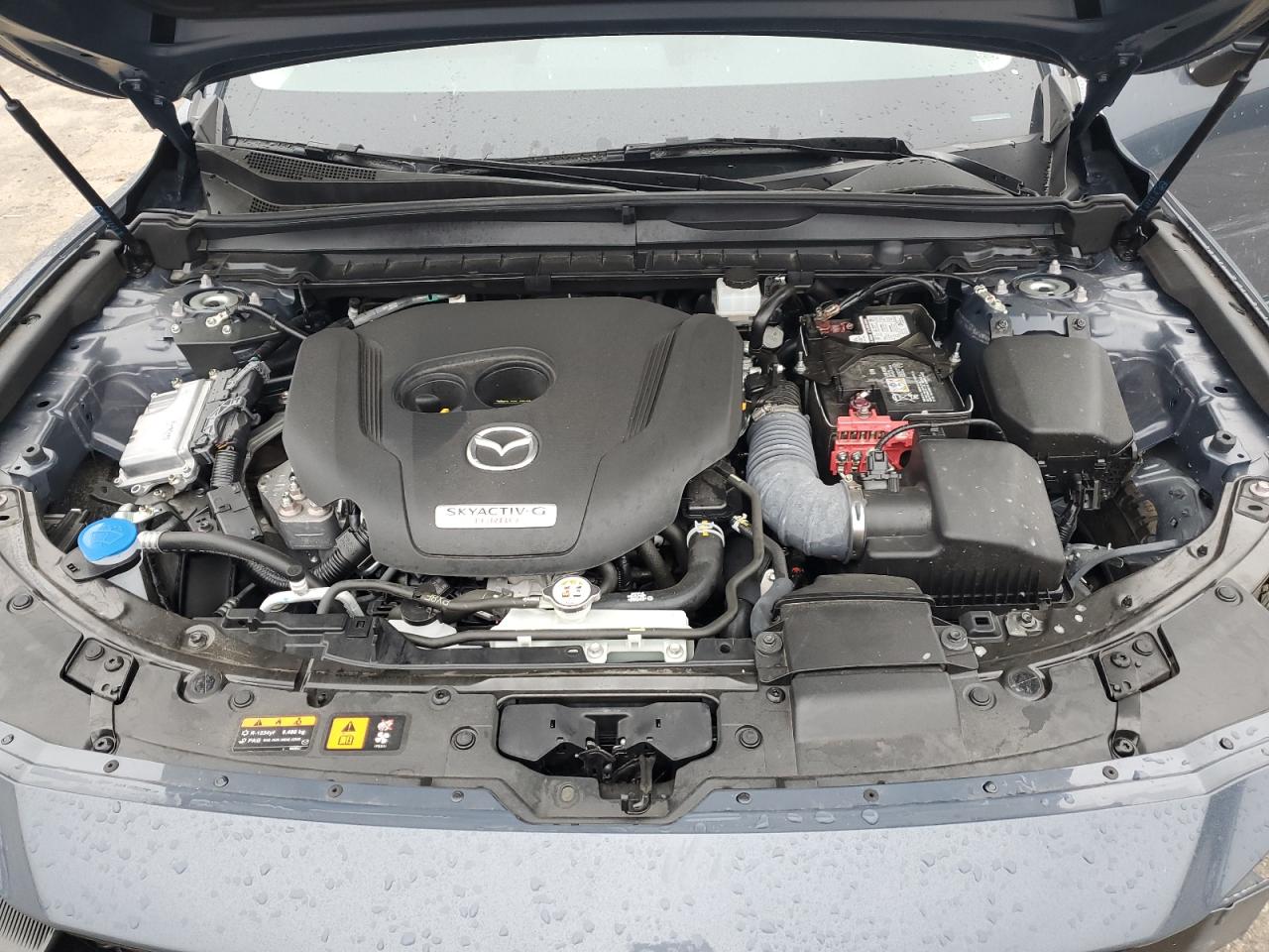 2024 MAZDA CX-50 BASE VIN:7MMVABXY0RN201391