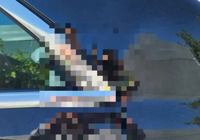 2019 Mercedes-Benz S 560 VIN: