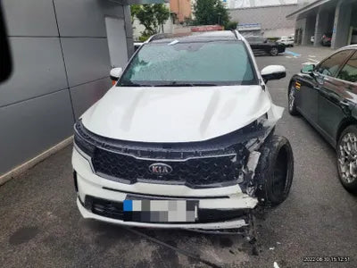 2021 Kia Sorento KNARK81BHMA012892 VIN:KNARK81BHMA012892