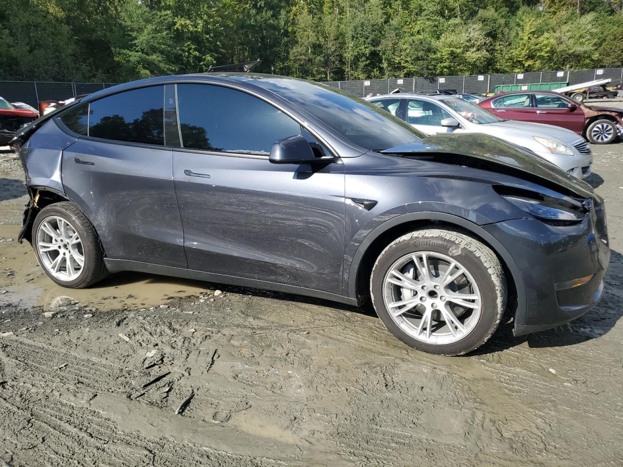 2024 TESLA MODEL Y  VIN:7SAYGDED6RF091911