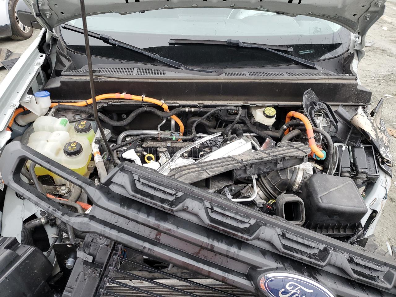 2022 FORD MAVERICK XL VIN:3FTTW8E3XNRA65653