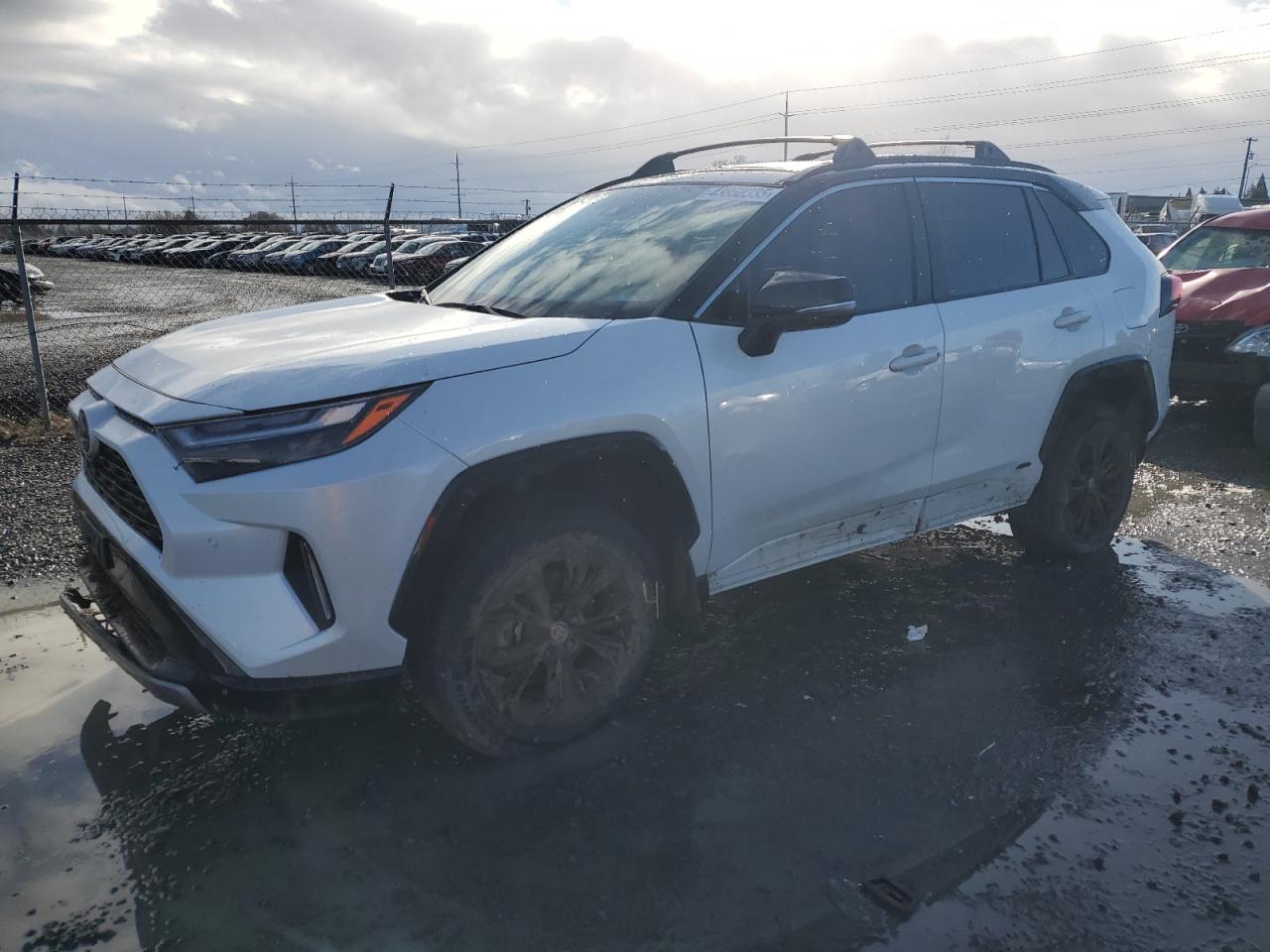 2023 TOYOTA RAV4 XSE VIN:4T3E6RFV5PU113900