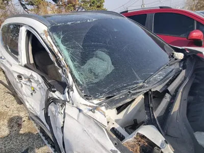 2019 Hyundai Santa FE KMHS381ADLU216986 VIN:KMHS381ADLU216986