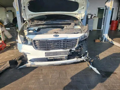 2019 Kia Carnival KNAMB81ABKS601953 VIN:KNAMB81ABKS601953
