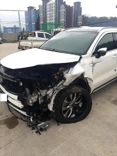 2021 Kia Sorento KNARK81BGMA103765 VIN:KNARK81BGMA103765