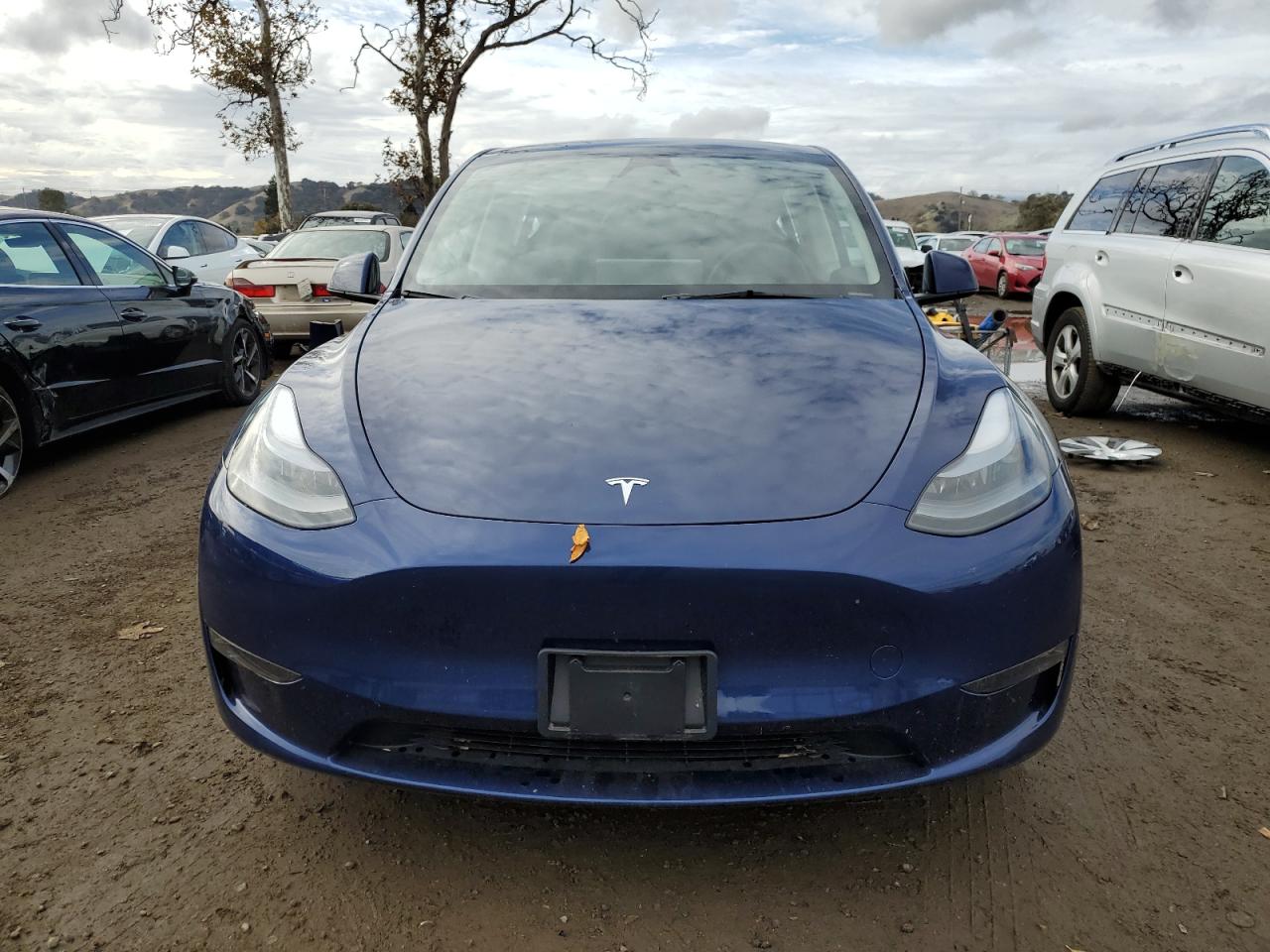 2023 TESLA MODEL Y  VIN:7SAYGDEE9PF896212