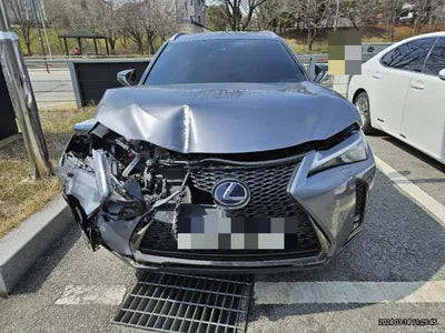 2021 Lexus UX 250 JTHR6JBH4M2103204 VIN:JTHR6JBH4M2103204