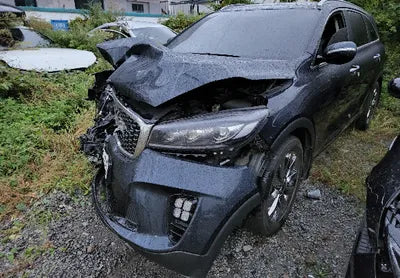 2018 Kia Sorento KNAPG81ABJA407082 VIN:KNAPG81ABJA407082