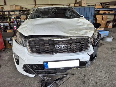 2019 Kia Sorento KNAPH81BBLA573070 VIN:KNAPH81BBLA573070