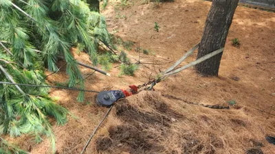 2022 Mercedes-Benz GLE 400 W1NFD2DB9NA733664 VIN:W1NFD2DB9NA733664