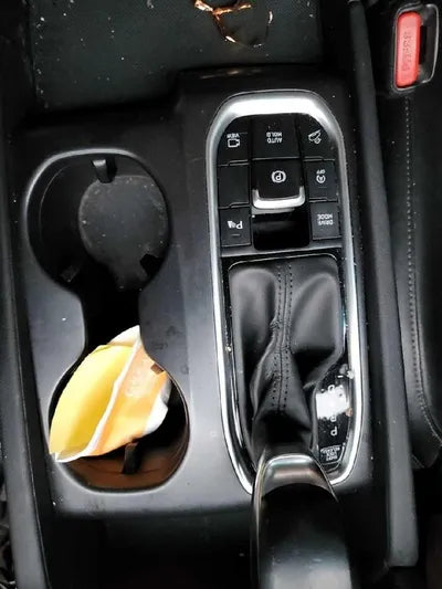 2019 Hyundai Santa FE KMHS581CBKU116989 VIN:KMHS581CBKU116989