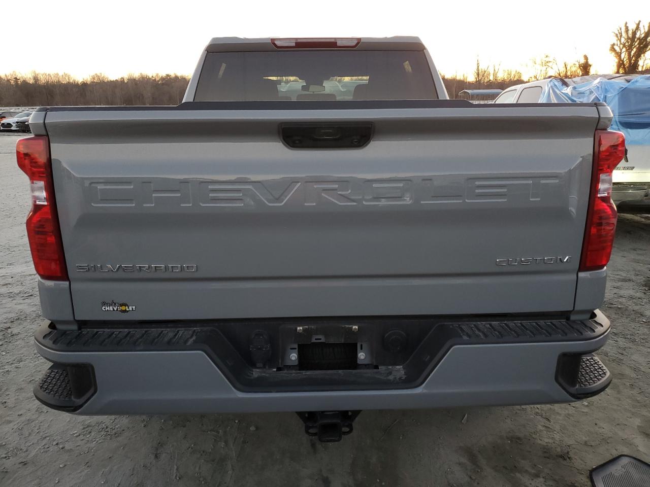 2024 CHEVROLET SILVERADO K1500 CUSTOM VIN:1GCPDBEK9RZ240214